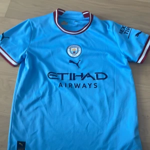 Man City tröja. Medium junior - Säljer en ljusblå fotbollströja från Puma med klubbmärke och sponsorlogga på framsidan. Tröjan har korta ärmar med röd och vit kant samt en rund halsringning. Perfekt för fotbollsfans!