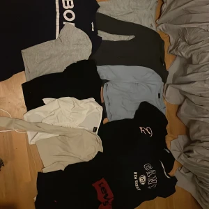 Blandade tröjor från olika märken - Säljer ett gäng tröjor från olika märken som GANT, Levi's och Björn Borg. Färgerna varierar från grått och svart till blått och vitt. Perfekt för dig som vill uppdatera garderoben med lite olika stilar och märken. Ska flytta så lägg prisförslag. Alla 11 tröjor för 400kr eller en för 70kr!! TVEKA INTE PÅ ATT LÄGGA ETT PRISFÖRSLAG!!