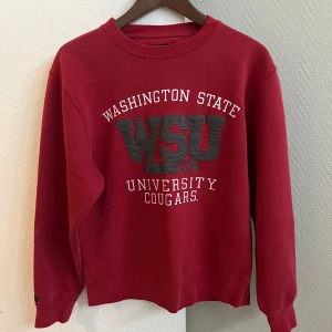 Vintage Washington State sweatshirt  - Tröja i storlek S men relativ stor Använt fåtal gånger men köpt second hand 