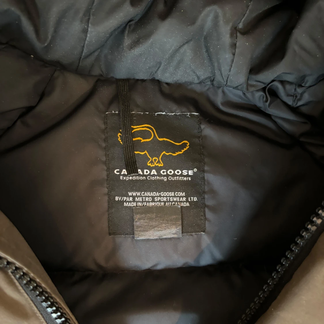 Canada goose chilliwack - 91