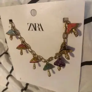 Halsband från zara, kommer ej i zara förpackningen men använd 1 gång så det är som nytt