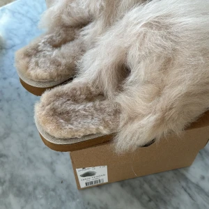 Fluffiga slip-in tofflor från Shepherd - Modell Tessan - Helt nya, aldrig använda, supermysiga och fluffiga slip-in tofflor från Shepherd i färgen Honey. De är gjorda av mjukt fårskinn och har en härlig beige ton. Perfekt present eller julklapp eftersom de kommer i originalkartong. Nypris 1200kr.