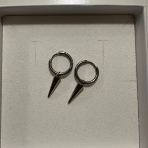 Edblad örhängen  - Säljer fina Edblad örhängen i silver, köpta för 400 och bra skick 💕💕