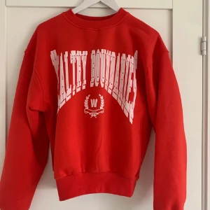 Sweatshirt  - Sweatshirt från weekday, näst intill helt oanvänd! xs/s