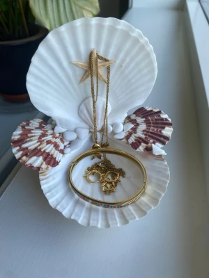 Smyckeshållare av snäckor - Egengjord Smyckeshållare av snäckor. Kan användas till alla typer av smycken eller som dekoration. Smyckena på bild ingår ej! Skriv om du undrar något 💕