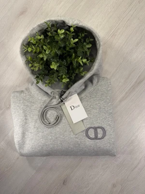 CD Hoodie -   CD Hoodie  - Storlek: S (enligt etikett).   - Stor i storleken och motsvarar ungefär M/L  - Mått:   - Längd: ca 66 cm   - Bredd (armhåla till armhåla): ca 55 cm   - Fint skick. Säljes då den är för stor för mig. 📏  - Skick: 10/10♻️   - Pris: 1300kr💵   - Färg: Grå - Frakt: Fraktas samma dag, anländer till dig inom 3-4 dagar🚚   Tveka inte att skriva vid minsta fråga!💭