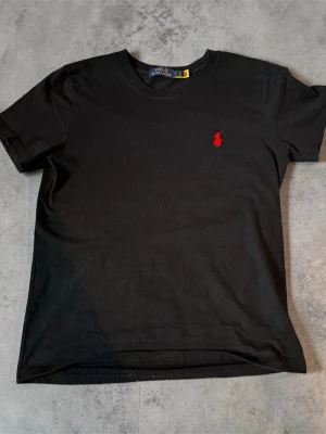Svart t-shirt från Polo Ralph Lauren - Svart Ralph lauren tröja lägg gärna prisförslag de flesta kommer accepteras det är bara o skriva om de är nåt