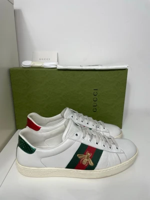 Gucci Ace Skor  - Säljer nu dessa Gucci Ace Skor, skriv för fler bilder/frågor🙌🏼