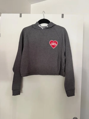 Sweatshirt grå - Storlek L, aldrig använd.  Köpt i butik så kan finnas skavanker. 