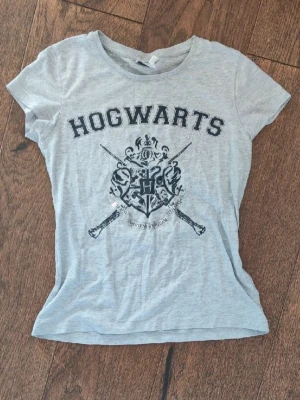 Grå Hogwarts t-shirt - Grå t-shirt med Hogwarts-tryck. Säljer 2st i samma storlek (158/164). Kostar 49/st och 75kr för båda två.