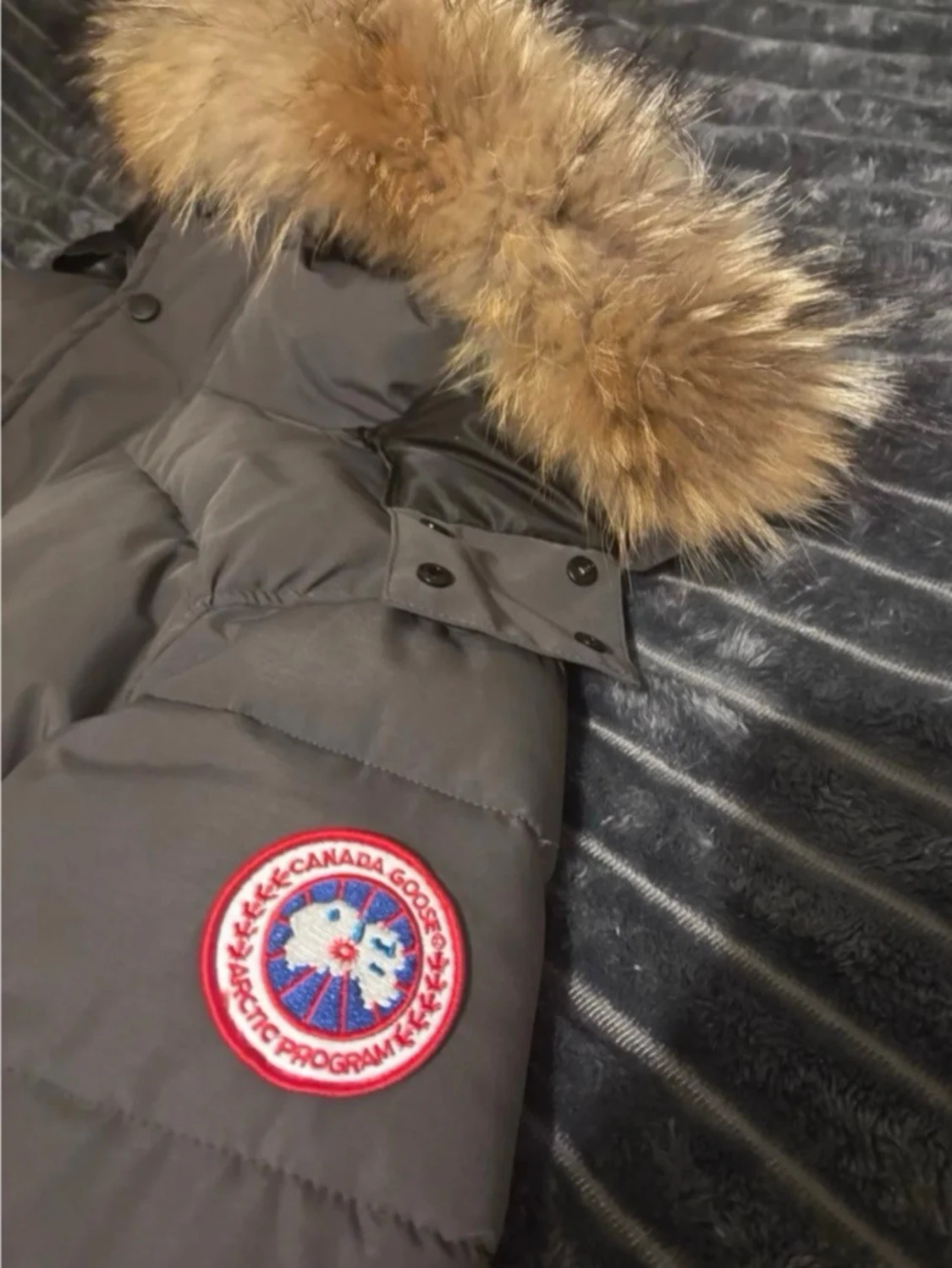 Canada Goose - 2