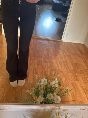 Svarta bootcut jeans från MQ - Snygga svarta bootcut jeans från new yorker med hög midja och klassiska fem fickor. Jeansen har utsvängda ben och silverfärgade knappar. Perfekta för dig som gillar en trendig och tidlös look.