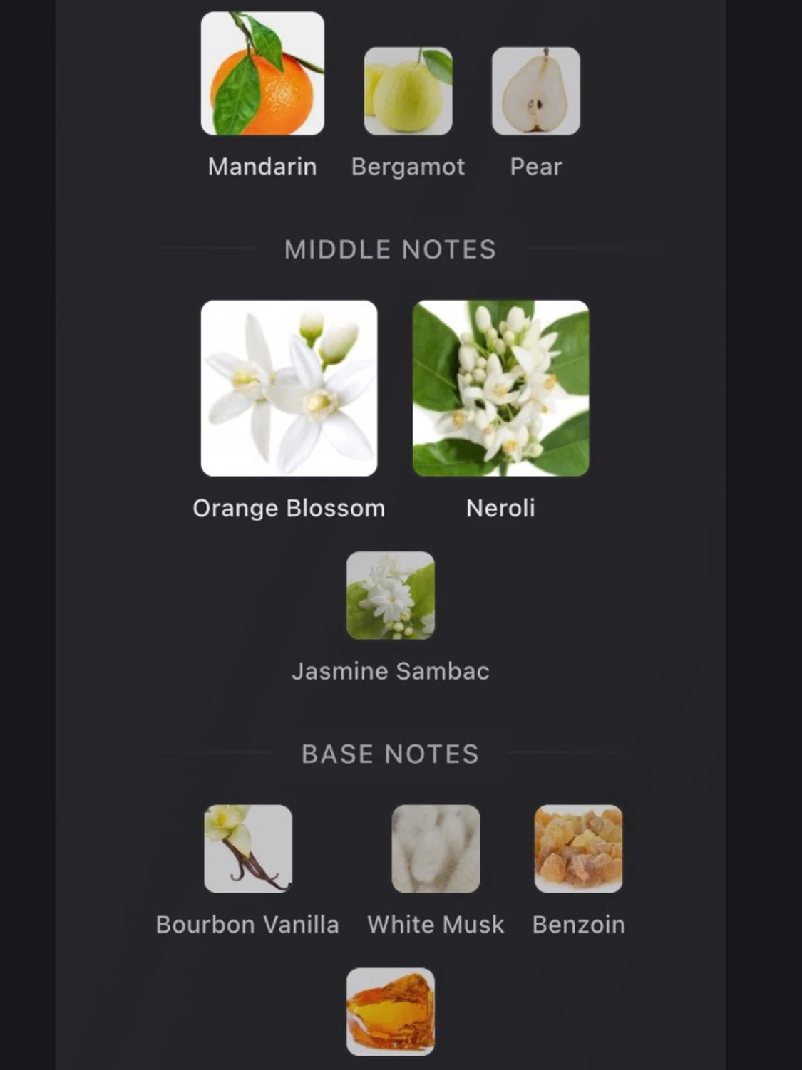 Optimystic Paradox fragrance world - 3