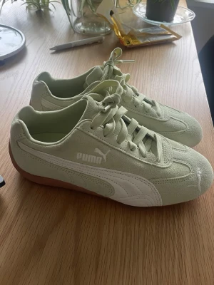 Puma sneakers, ljusgröna - Helt oanvända puma sneaker i mocka. Bara provade så de är i nyskick. Säljer pga att jag inte passade i färgen 🥰