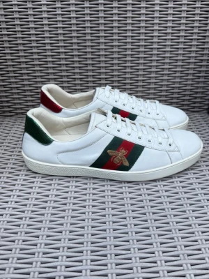 Gucci Ace Bee - Gucci Ace Bee || Storlek EU 44 UK10 || Skorna är i okej skick (se bilder) || Tveka inte på att höra av dig vid frågor eller funderingar 