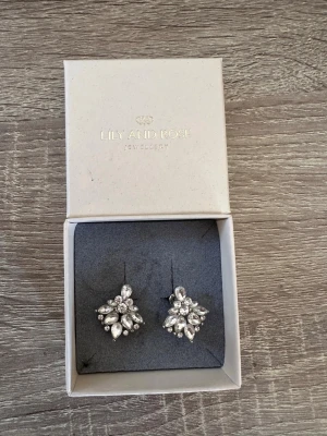 Glittriga silver örhängen från Lily and Rose - Säljer ett par silver glittriga örhängen från Lily and Rose. Örhängena är silverfärgade och dekorerade med klara stenar i olika former som ger en lyxig och elegant känsla. Perfekta för att lyfta vilken outfit som helst! OBS: FRAKTAR INOM 24H!🩷