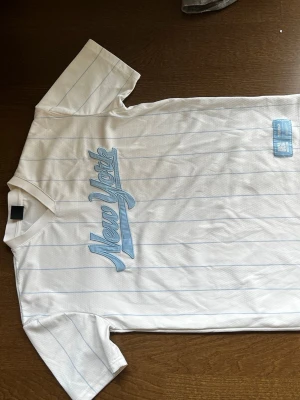 Vit randig t-shirt från FSBN New Yorker - Säljer en vit t-shirt från FSBN med ljusblå tunna ränder och texten 'New York' broderad framtill. T-shirten har relaxed fit, korta ärmar och sportig collegekänsla. Perfekt för dig som gillar streetwear och enkel stil.