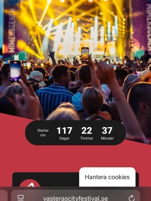 Cityfestivalen  - Köp!