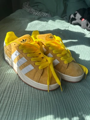 Adidas campus - Tenare! Köpte dessa campus som en present från början men köpte tyvärr fel storlek så dem har blivit stående i min garderob, därav säljer jag dem. Skorna är endast provade och skicket är därav som nya. 