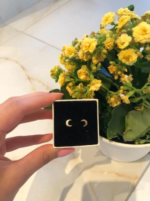 Guldiga måne örhängen - Säljer ett par små örhängen i form av månar i guldfärg. De är minimalistiska och stilrena, perfekta för dig som gillar enkla men snygga accessoarer. Materialet ser ut att vara metall med en blank finish. Är öppen för prisförslag😊