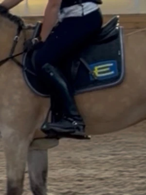 Equiline schabrak (E-logga) - Equiline schabrak, svergie e-logga, strl full, fint skick, nypris: 2290kr 