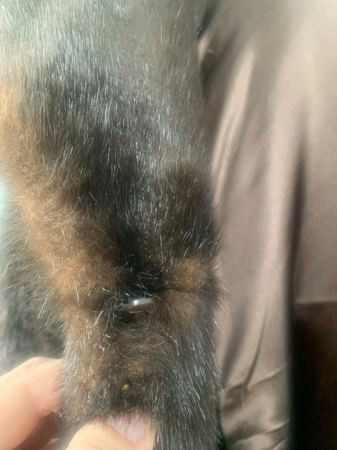 Lång mörkbrun pälsjacka med krage - 4