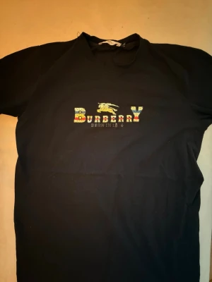 Svart Burberry t-shirt M/L - Säljer en svart t-shirt från Burberry med färgglatt logotyptryck och riddare på bröstet. T-shirten har klassisk passform och rund hals. Perfekt för dig som vill ha en stilren men ändå unik look.