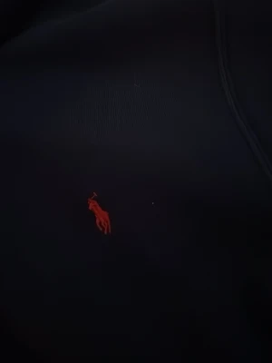 Mörkblå hoodie från Polo Ralph Lauren - Snygg mörkblå hoodie från Polo Ralph Lauren med dragkedja och den klassiska röda broderade loggan på bröstet. Tillverkad i mjukt material som känns skönt mot huden. Perfekt för dig som vill ha en stilren och tidlös look.