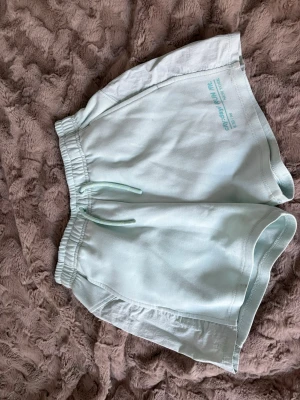 Ljusblå träningsshorts från zara - Snygga ljusblå träningsshorts från zara med elastisk midja och snörning. Shortsen har en avslappnad passform och tryck i turkos på ena benet. Perfekta för löpning eller gymmet.