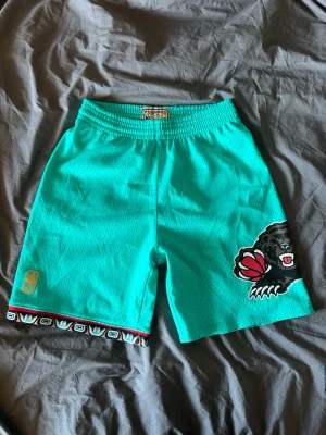 Vintage NBA grizzlys shorts - Säljer ett par turkosa basketshorts med elastisk midja och stort björntryck på ena benet. Shortsen har dekorativ kant med mönster längst ner och NBA-logga. Perfekta för dig som gillar sportig stil och vill sticka ut. Köpte shortsen i NBA affären i New York och säljer dem nu då jag inte använder dem längre. Storlek M, men funkar som S också.