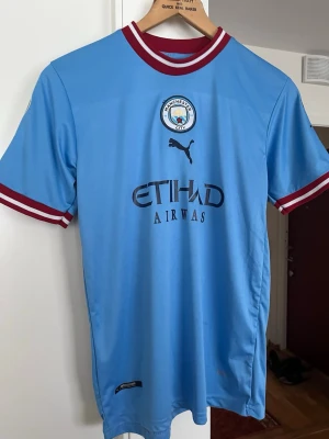 Manchester City matchtröja Puma - Snygg ljusblå Manchester City matchtröja från Puma med klubbmärke på bröstet och Etihad Airways-tryck. Tröjan har vinröda och vita detaljer vid hals och ärmslut, samt korta ärmar. Perfekt för fotbollsfans och träning.