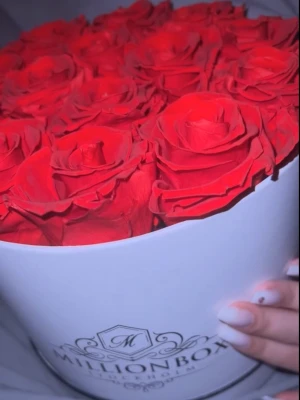 Röda rosor/Evighetsrosor i rund vit box - Säljer en elegant rund vit box från Millionbox fylld med stora, röda evighetsrosor. Boxen har en stilren logga framtill och rosorna är tätt placerade för en lyxig känsla. Perfekt som present eller dekoration. Vattnas ej, håller i flera år.