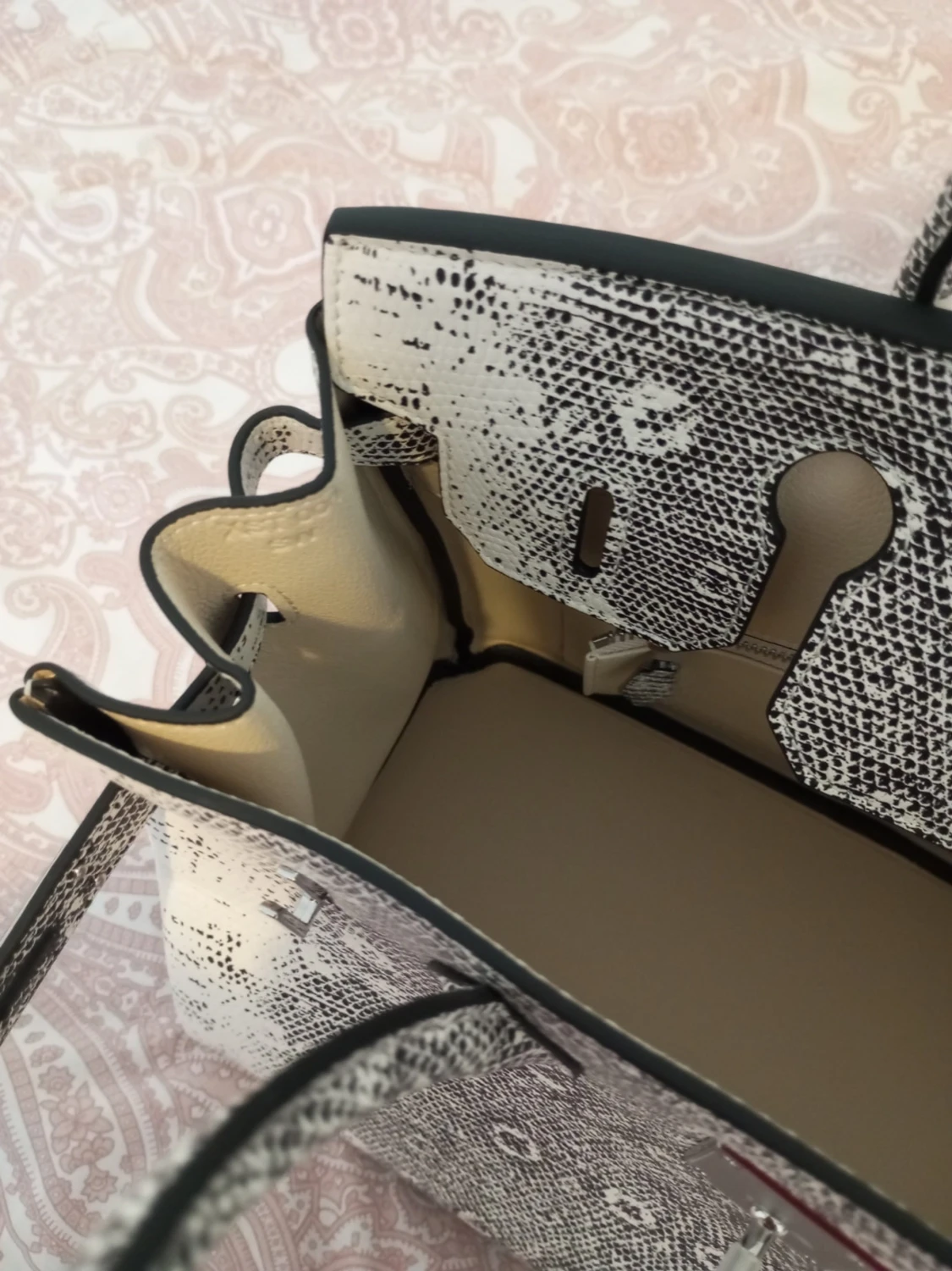 B30 exotic lizard  - 3