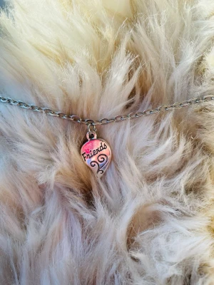 By prisförslag- halsband friends silvrigt Small för liten hund/katt  - Kedja med friends hänge. Kan fås i större storlek än Small