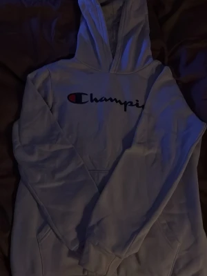 Champion hody - En beige champion hody med det orginala tryket på framsidan av plagget. Plaget är gjort av ul