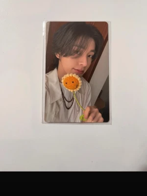 Fotokort Romance: Untold  - pris kan diskuteras!