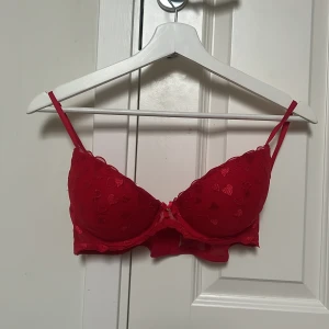 Röd bh med hjärtmönster - Säljer en röd bh med broderade hjärtan och meshdetaljer. Toppen har justerbara axelband, en liten rosett med hänglås i mitten och flera hakar i ryggen för perfekt passform. Materialet är mjukt och lätt.