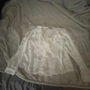 Vit volangblus  - Säljer en superfin vit blus i transparent material med långa ärmar, volangdetaljer framtill och knytband vid halsen. Storlek L från Zara  