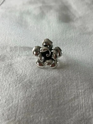 Silver ring - Justerbar och rostfri stål 