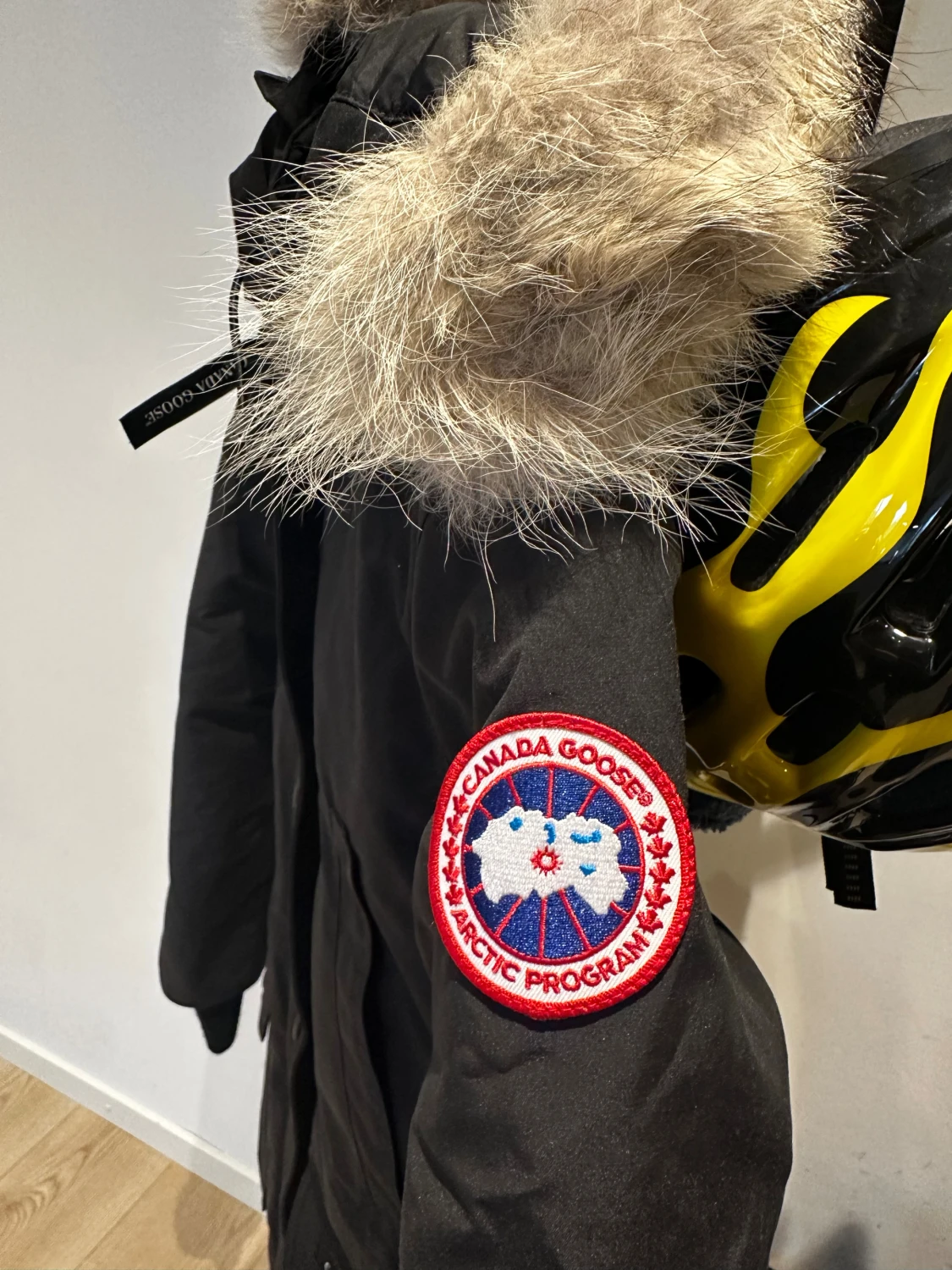 Canada Goose Trillium jacka dam - 1