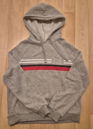 Grå hoodie med LA-tryck från Gina Tricot - Snygg grå hoodie från Gina Tricot i storlek M. Tröjan har huva med snörning, långärmade ärmar och ett coolt LA-tryck på bröstet. Dekorerad med vita, svarta och röda ränder över bröstet. Perfekt för chill dagar och streetstyle.
