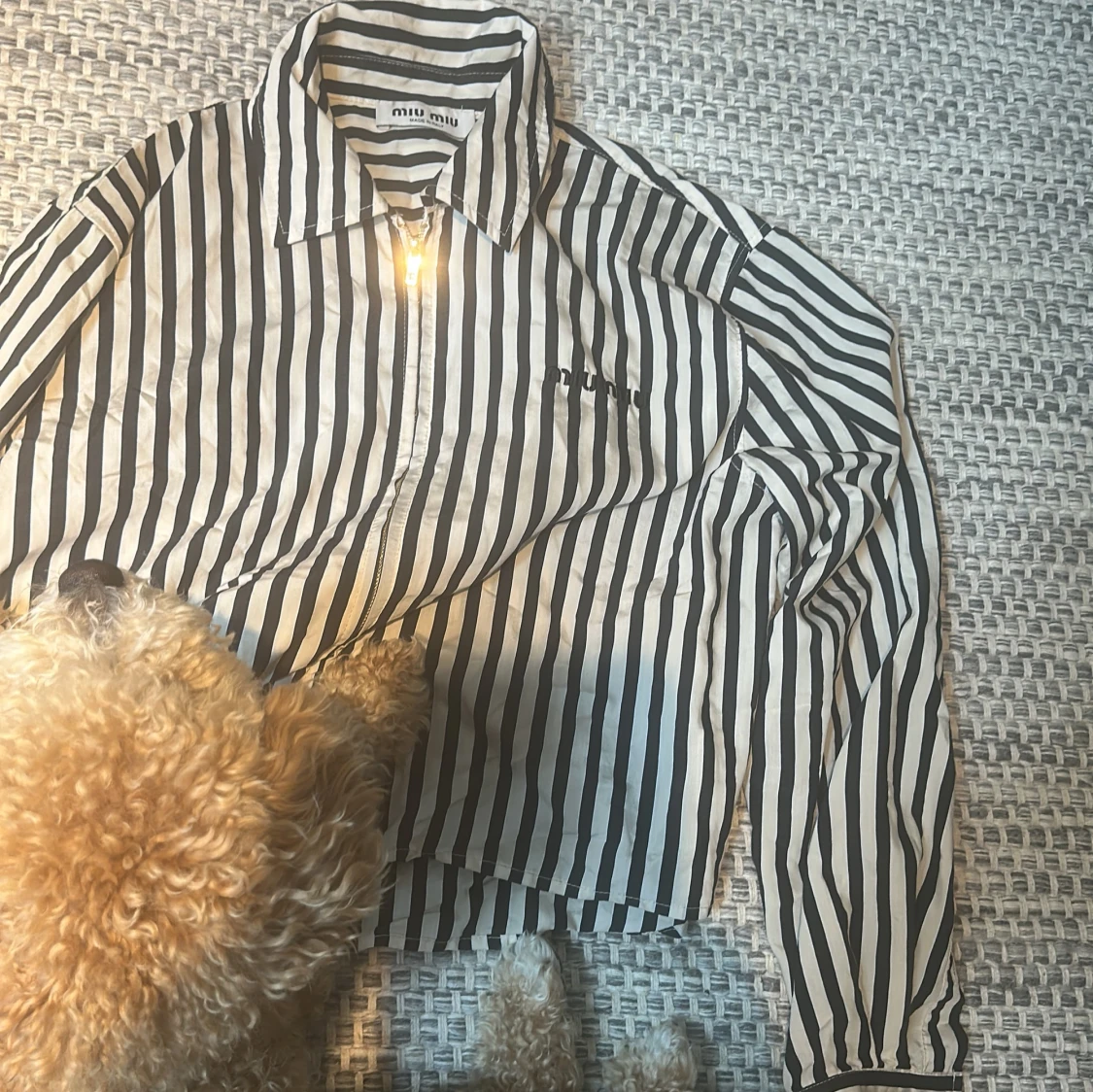 Randig skjorta med dragkedja från Miu Miu