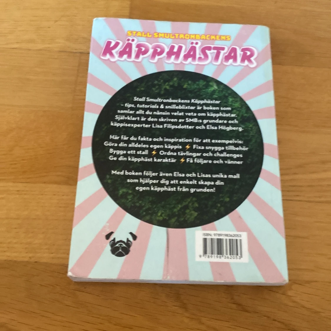 Stall Smultronbackens Käpphästar - 1