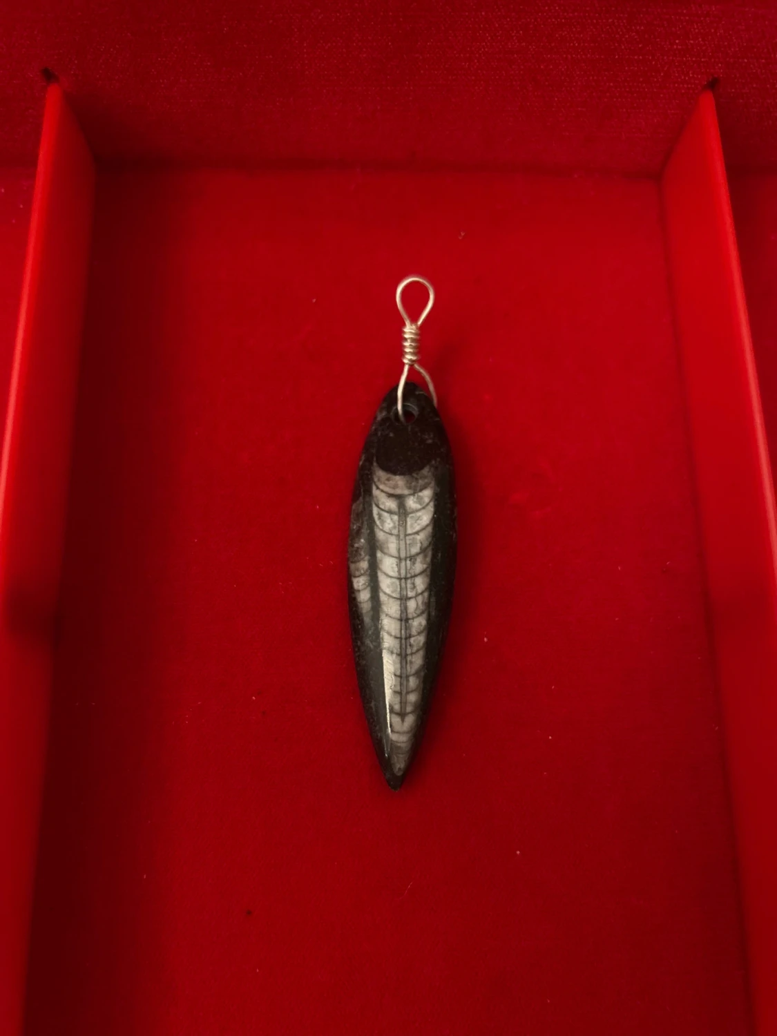 Halsband med fossilberlock och äkta silver hänge - 1