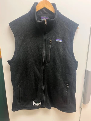 Patagonia Fleeceväst  - Patagonia Fleeceväst använd men i fint skick Storlek Large