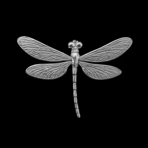 Trollslända ring silver  -  GRATIS GÅVA MED VARGE ORDER!! Köp en bundle!!! Supertrendig stockholmsstil tjejer, ring silver. Gjord av stål, jag svarar och skickar alltid snabbt!