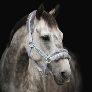 Källqvist Equestrian grimma - Ljusblå och grå grimma från Källquist Equestrian, storlek Ponny. Helt i nyskick med lappen kvar. Kostar 149 kr ny. Skickar även med ett tillhörande grimskaft, även de helt oanvänt 😊100 kr eller bud 