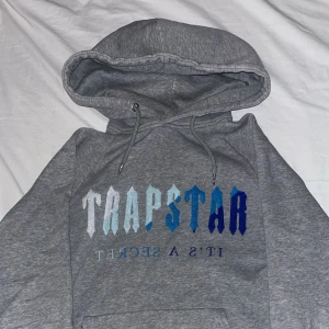 Grå Trapstar hoodie med blå text - Säljer en grå hoodie från Trapstar med huva och snörning. Framsidan har ett stort tryck i olika blå nyanser med texten 'TRAPSTAR' och 'IT'S A SECRET' under. Perfekt för dig som gillar streetwear och vill sticka ut med snygg design.