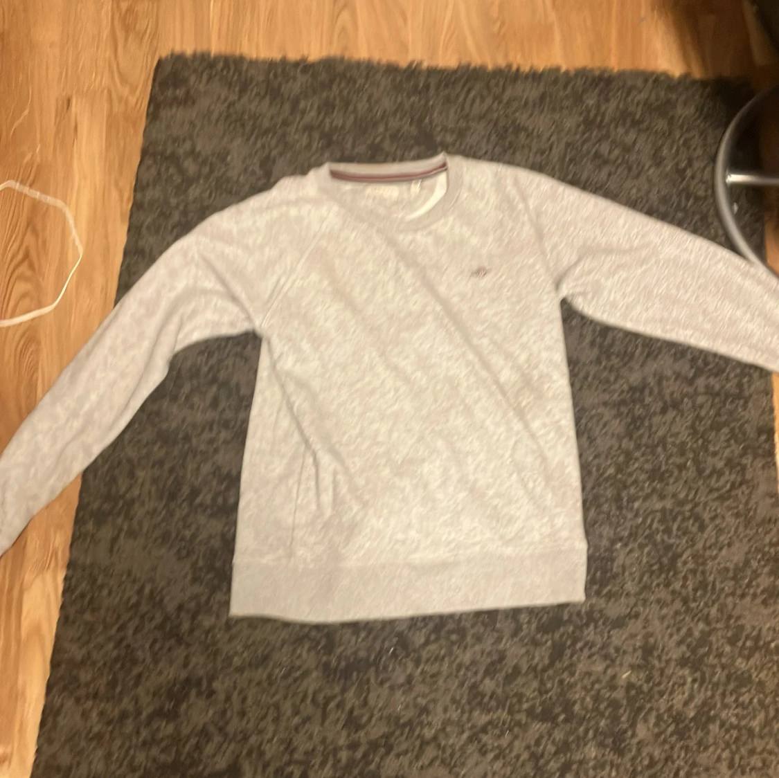 Ljusgrå sweatshirt i bomull från gant