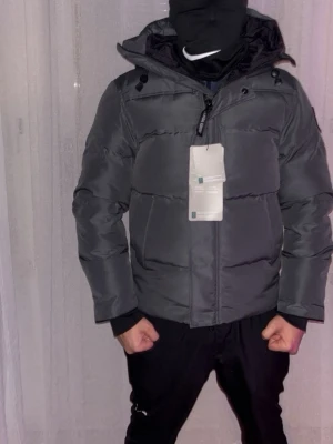 Grå canda goose  - Helt nya aldrig använda, fraktar samt möts i Göteborg 